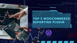 Top WooCommerce Reporting plugins